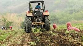 Timeline: Evolución de la agricultura en Venezuela