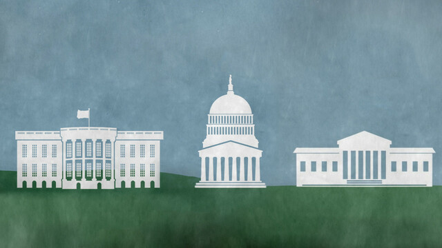 Three branches of government