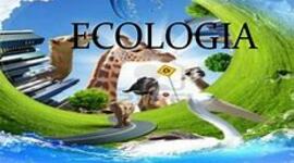 Timeline: LINEA DE TIEMPO DE LA ECOLOGIA