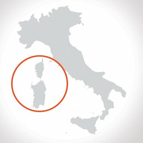 Naixement de  Napoleó Bonaparte