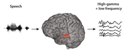 AVANCES FISICOS EN EL AÑO 2019