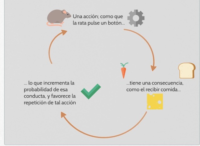 Las cajas de Skinner