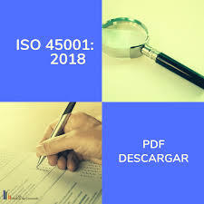 GUIA 2 ISO 45001