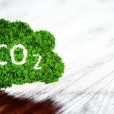 Timeline: Historia de la química orgánica