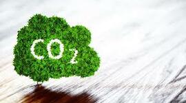 Timeline: Historia de la química orgánica