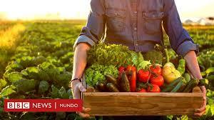 los alimentos orgánicos