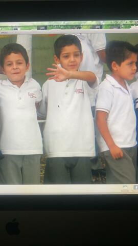 primaria