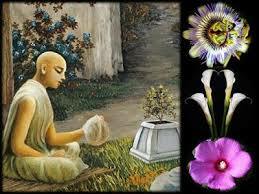 La enfermedad y la religión