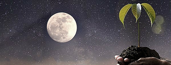 LA TEORÍA CÓSMICA O SIDERAL