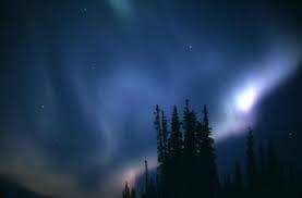 Otras nociones de causa