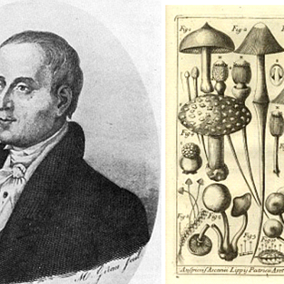 Timeline: Historia de los conceptos de causas y enfermedad: paralelismo entre la medicina y la fitopatología  (wilmer trochez)