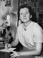 RACHEL CARSON