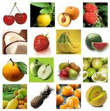 propiedades de los alimentos