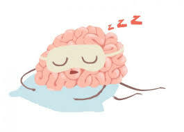 Etapa 3 del sueño NREM