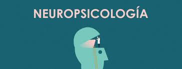Nacimiento de la neuropsicologia