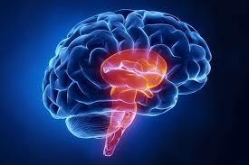 Etapa  4 sueño NREM