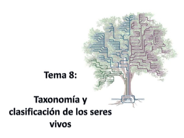 clasificación de las enfermedades de las  plantas