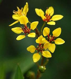 Discovery of medicine