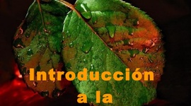 Timeline: Un paso a la historia de la fitopatologia