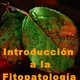 Fitopatologia