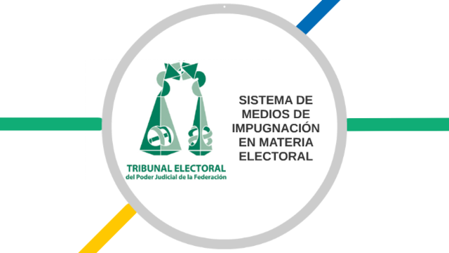 SCJN. Introducción de un recurso.