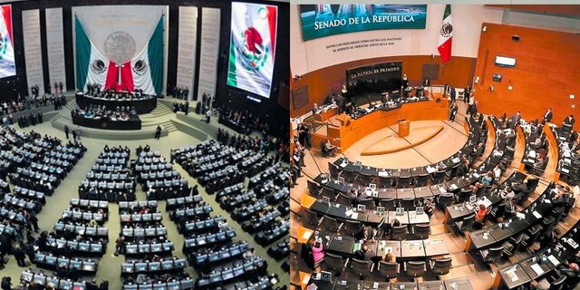 Instituto Federal Electoral y colegios electorales. Reforma de 1993