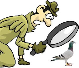 DATOS DE OBSERVACIÓN