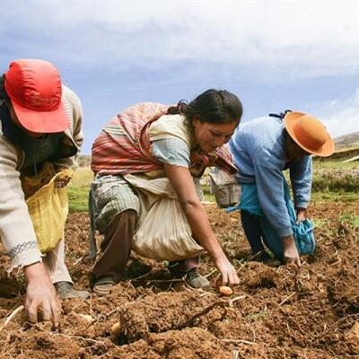 Timeline: Principales Referentes Teóricos De La Acción Colectiva                                William Rodriguez UNAD