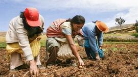 Timeline: Principales Referentes Teóricos De La Acción Colectiva                                William Rodriguez UNAD