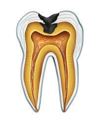 Robert Stephan (1944)