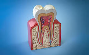 Max Lisgarten (1965)