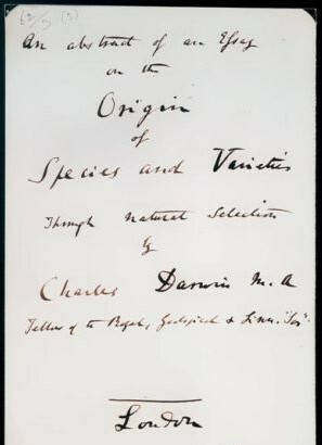 Extens manuscrit de la seva teoría