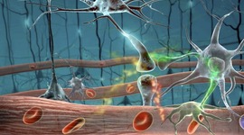 Timeline: HISTORIA DE LA INMUNOLOGIA