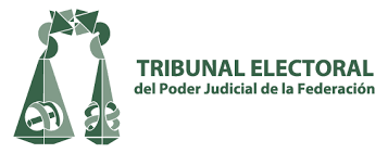 Tribunal Federal Electoral