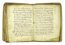 • Las Glosas Emilianenses