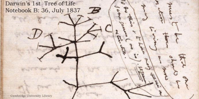 Escriu notes sobre el que va veure