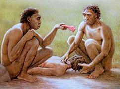 Homo antecessor