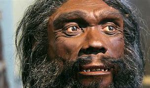 Homo heildelbergensis