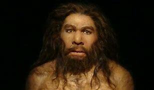 Homo neanderthalensis