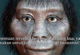 Homo floresiensis