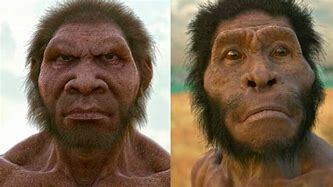 Homo naledi