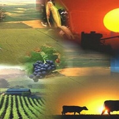 Timeline: Actividades Agropecuarias en Venezuela Gerardo Rondon 5 to B