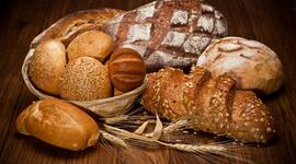 Timeline: Historia del pan