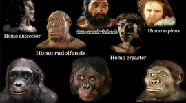 Timeline: Trabajo Evolución humana