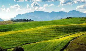 Sustitución de espacios agrarios