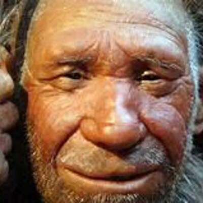 Timeline: Evolución humana