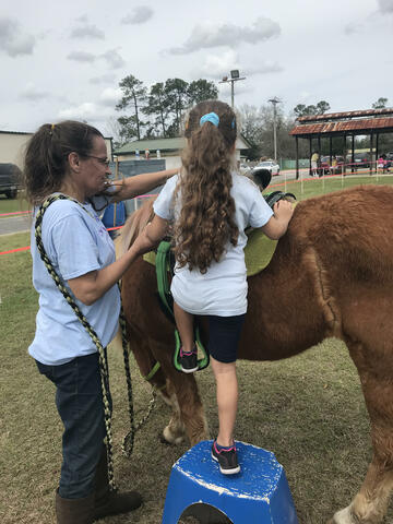 My first time riding a horse