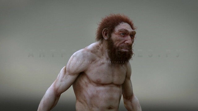 Homo neanderthalensis