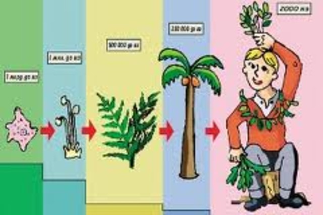 Основание Биологии