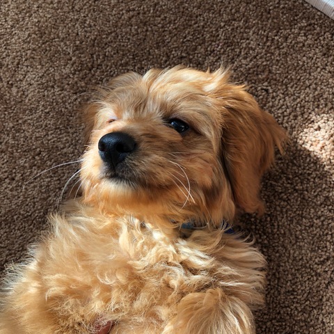 Hunters second birthday